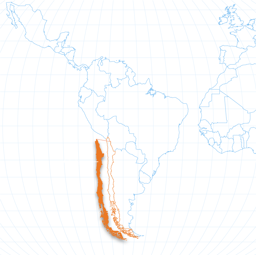 map of  growing region for oranges with Chile highlighted
