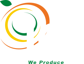 LGS - We Produce