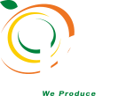 LGS logo