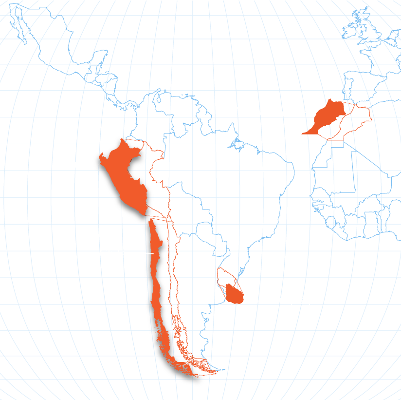 map of growing regions for clementines with Chile, Spain, Morocco, Uruguay, and Peru highlighted