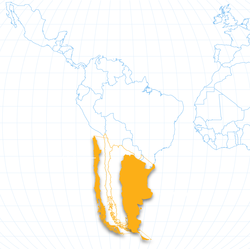 map of growing regions for lemons with Chile and Peru highlighted