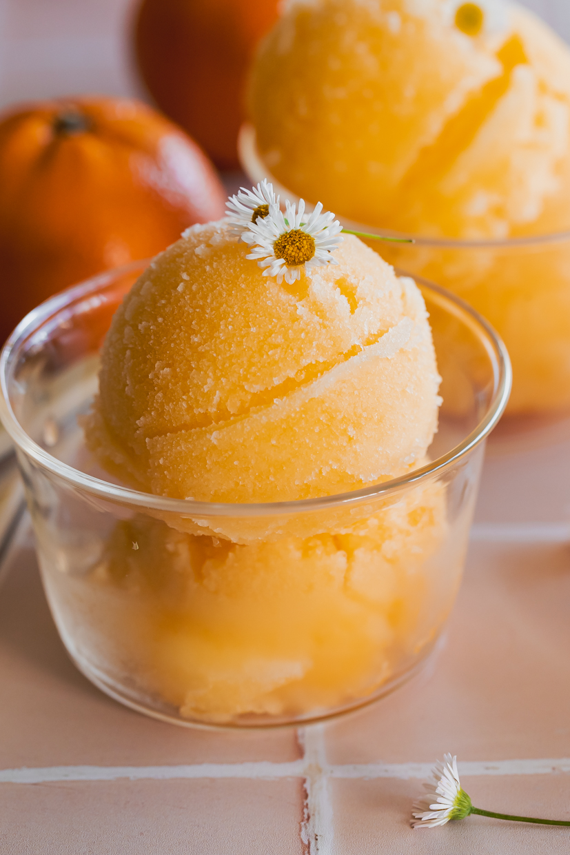 Clementine Sorbet - LGS Specialties