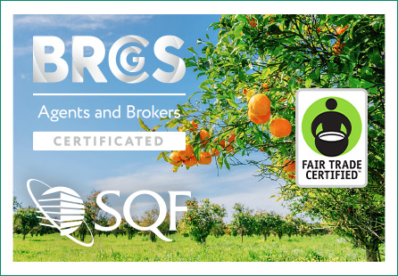 Orange Grove Photo with BRC logo